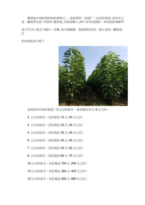 秦皇岛花楸苗多少钱?2026年苗木市场采购指南:TOP5推荐