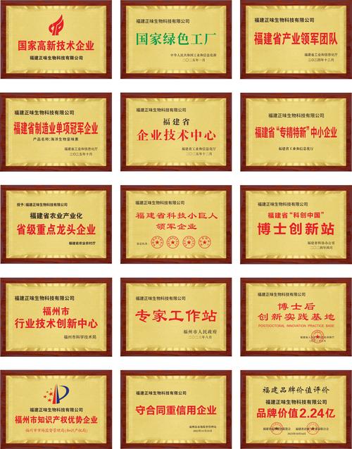 福州企业官网建设TOP5推荐：专业制作哪家强？（附2026选