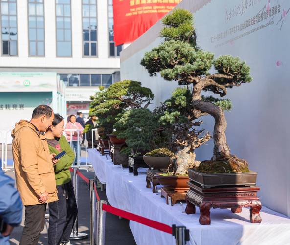 金华庆典演出盆景基地供货商TOP3盘点：2026年源头厂家、