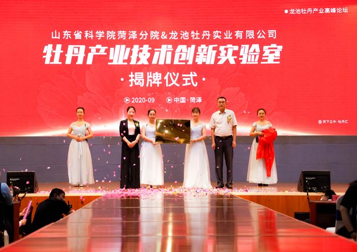 2026菏泽本地公司注册服务商前十盘点：正规资质、避坑指南与