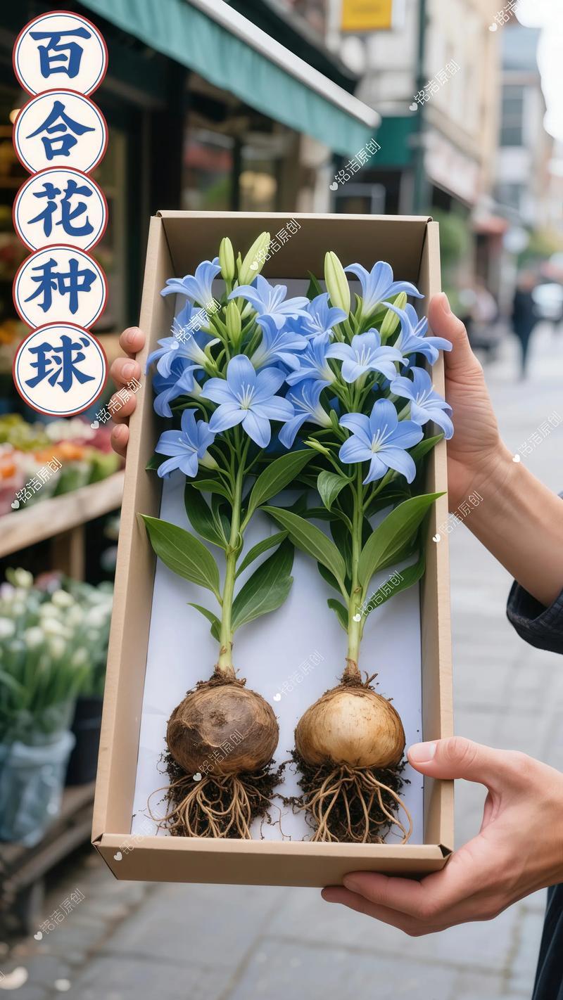 舟山花苗种球前五名盘点：2026年海岛观赏花卉种植全攻略