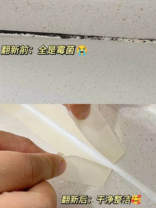 2026年宁德家居发霉修复处理排行榜:正规机构推荐与价格指南