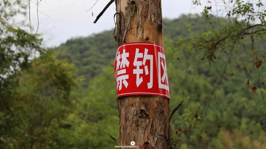 三明垂钓休闲娱乐场地咨询排行：2026年正规钓场推荐与避坑指