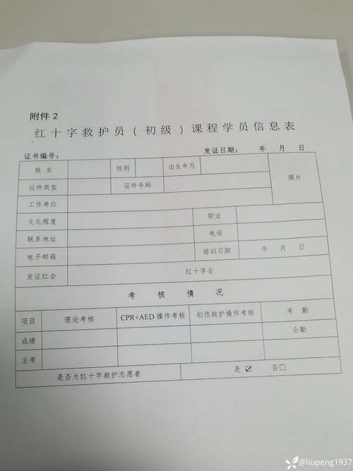 2026保山机票签证一级合作机构排名：本地前5强正规服务商与