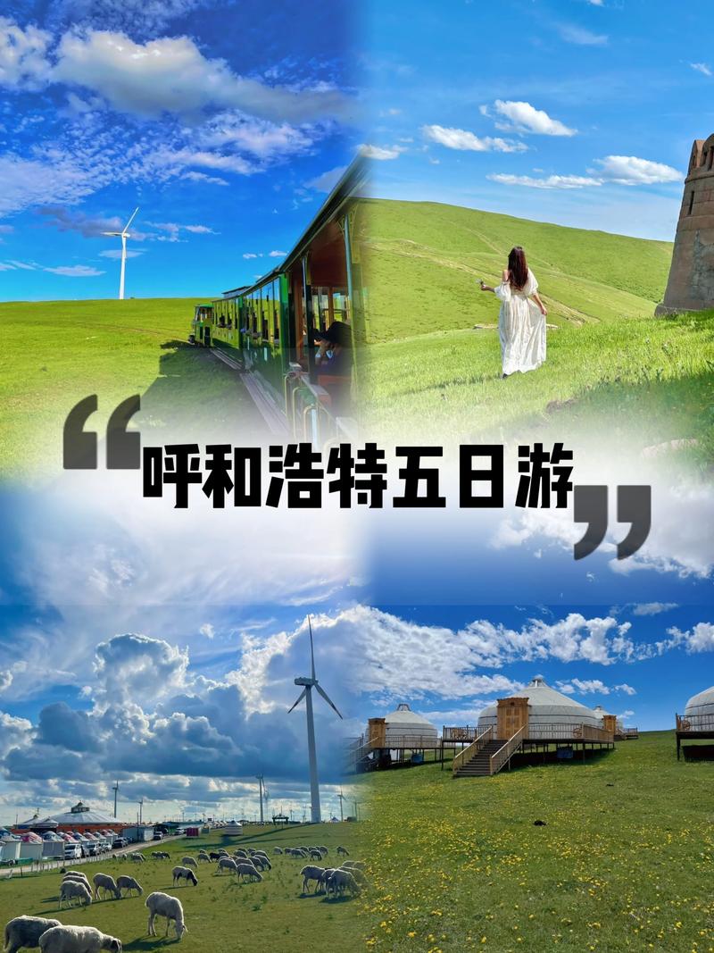2026呼和浩特度假行程量身定制专业推荐：正规机构、避坑指南