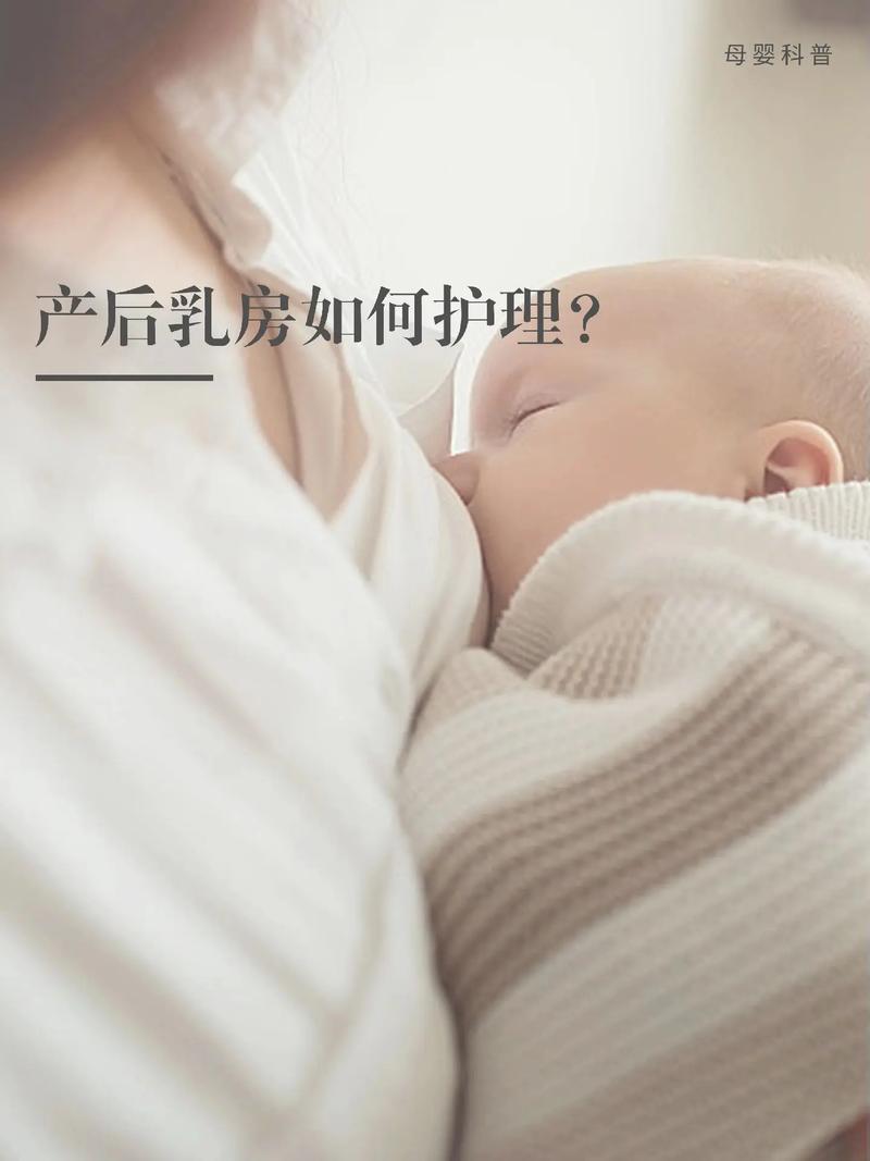那曲本地产后乳房护理哪家好?2026专业护理指南与优质服务盘