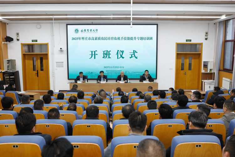 2026枣庄本地零基础专项培训服务前五：正规机构名单与口碑指