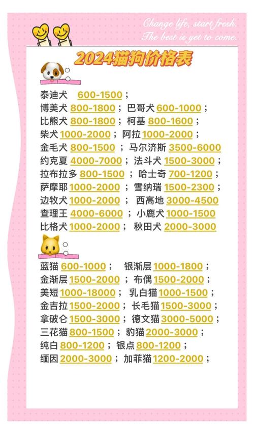 百色宠物售卖排行:2026年值得信赖的宠物用品与洗护服务商推