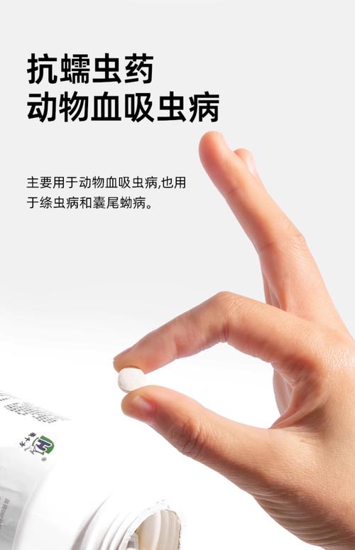 塔城宠物体内驱虫费用参考与2026年本地宠物服务价格表及口碑