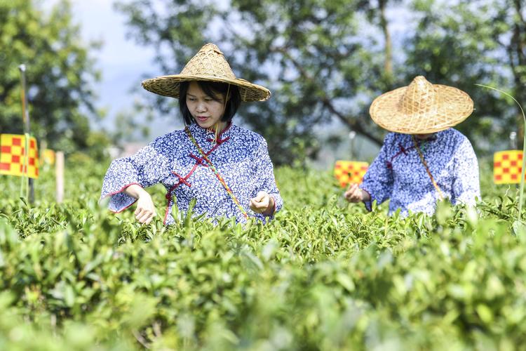 梧州相册制作怎么选?2026主流相册工艺与服务商深度对比