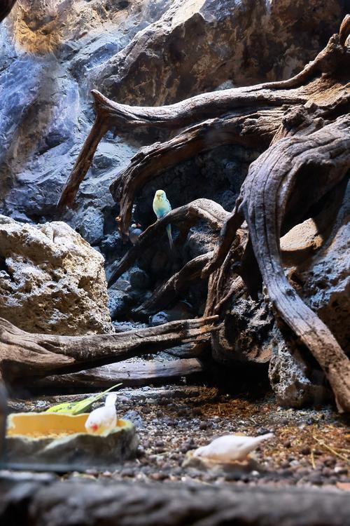 厦门水族造景避坑指南：2026年专业服务商口碑推荐与选购攻略