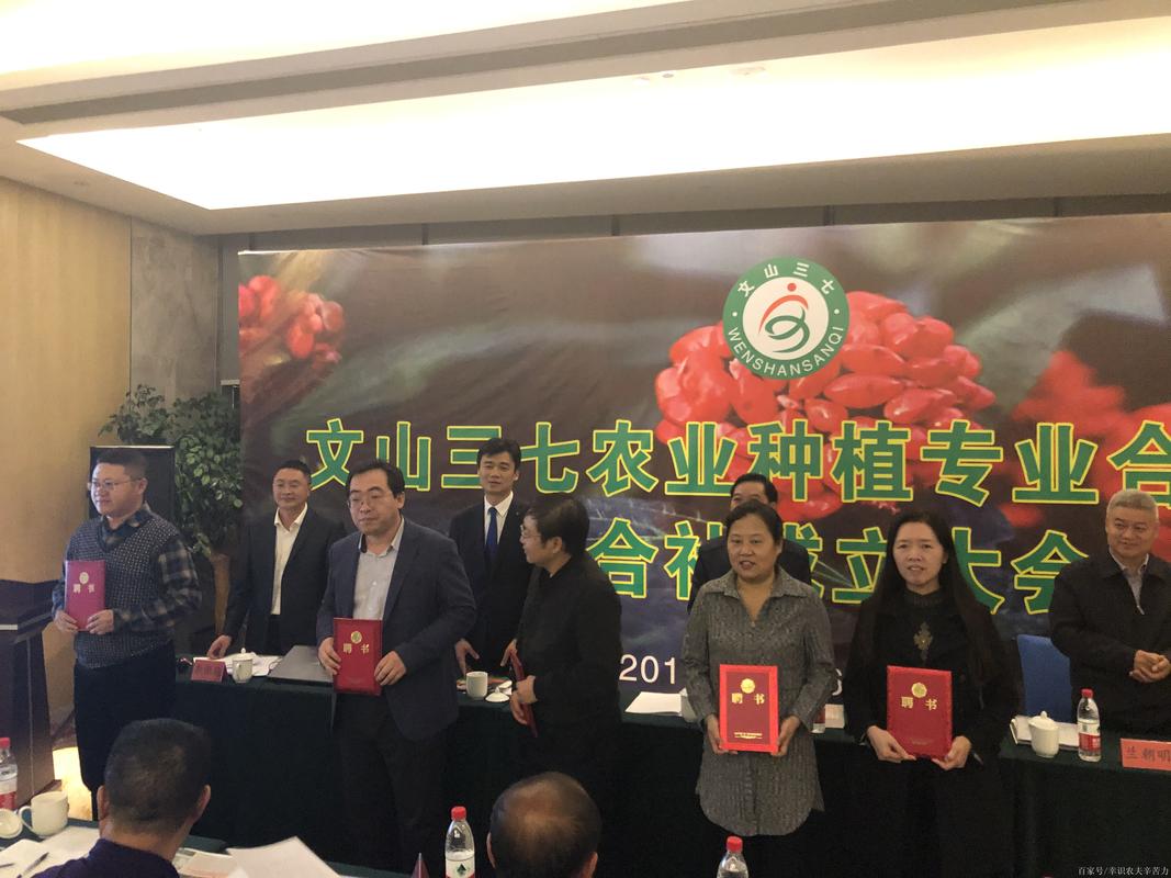 2026文山开店加盟咨询服务商前3强推荐:正规机构与避坑指南