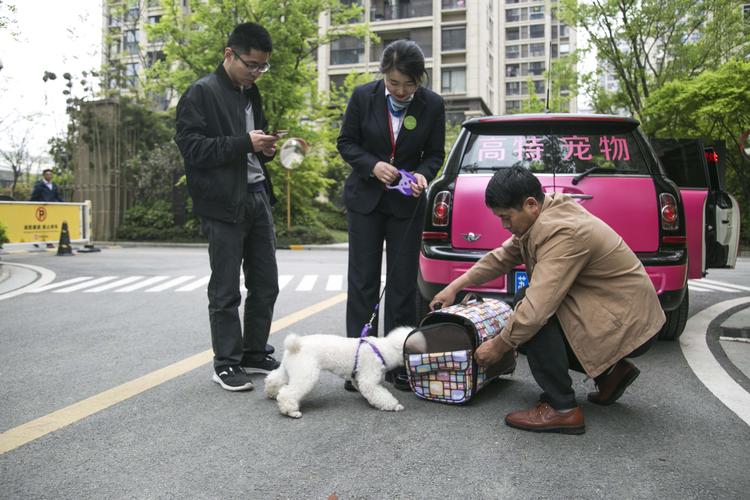 2026亳州宠物寄养服务商排行榜：正规品牌推荐与避坑指南