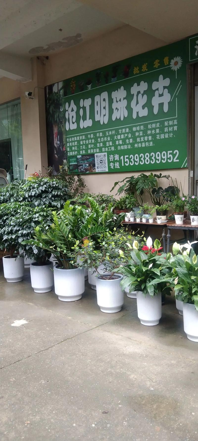 2026年定西鲜花绿植本地服务商排名与推荐：正规厂家、设计公