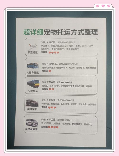 2026江门宠物托运代办推荐：正规避坑指南、价格与TOP5服