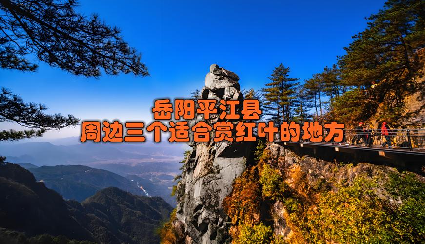 2026岳阳秋景赏枫度假咨询：岳阳五大正规服务机构与路线推荐
