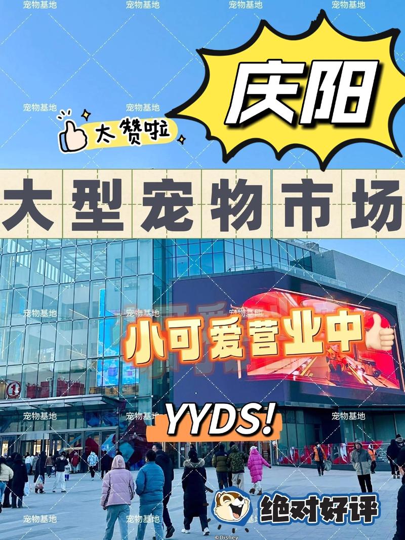 2026庆阳宠物顺带照料服务商TOP5榜单:正规推荐与避坑指