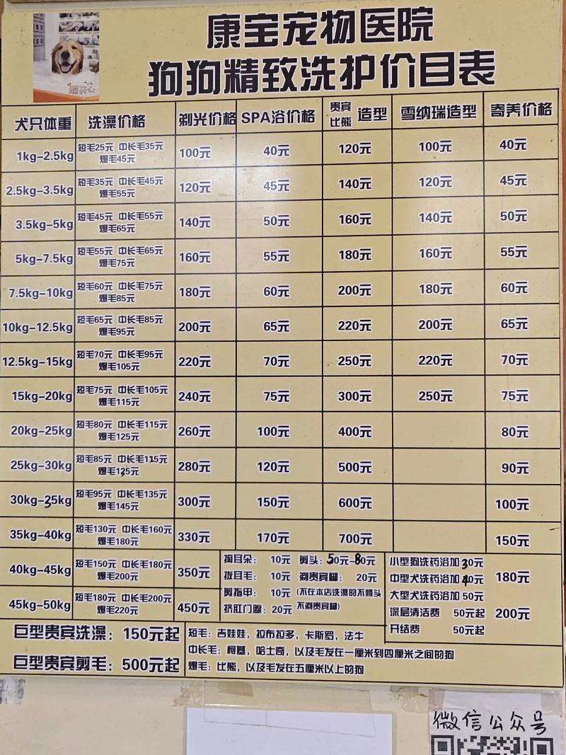 铜川宠物剪毛美容服务商费用全解析:2026年正规机构TOP5