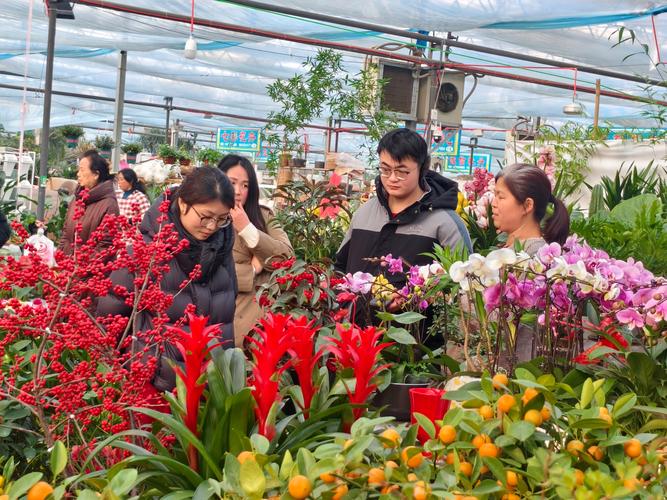 2026菏泽鲜花服务商盘点：绿植租赁、花艺工程与源头批发避坑
