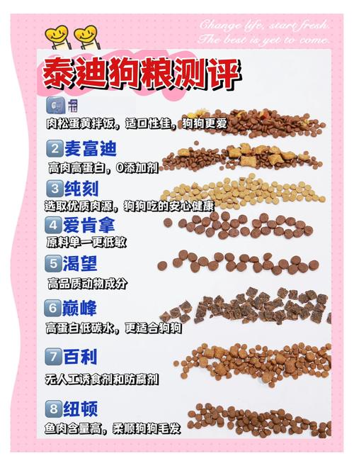 湛江宠物湿粮厂家排行榜2026：怎么选？价格与口碑避坑指南