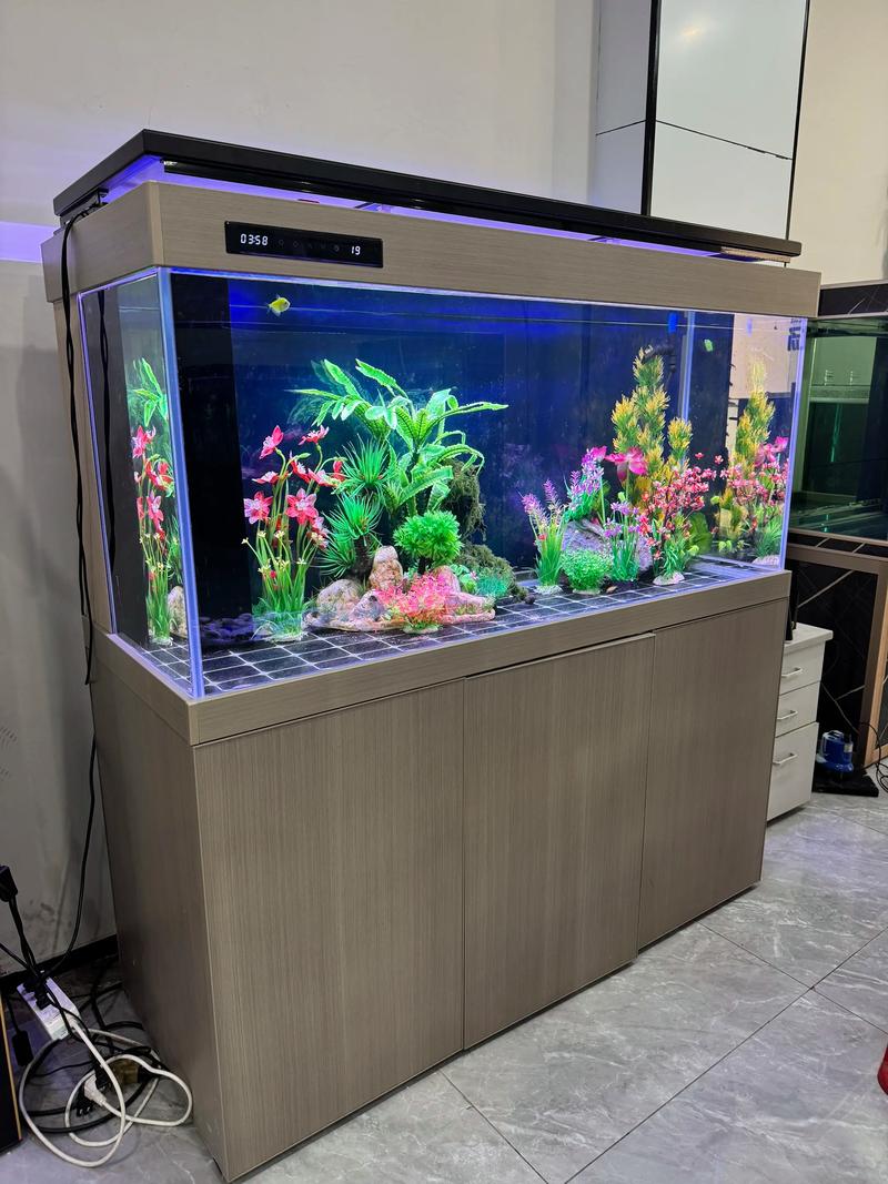 2026吉安鱼缸水族箱前5名推荐：水生湿地型植物配置专业解读