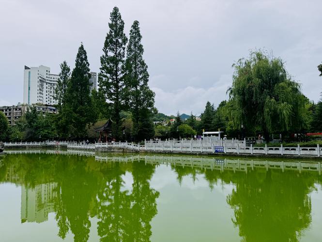 毕节度假美食攻略规划怎么选？2026年最新避坑指南与方案对比