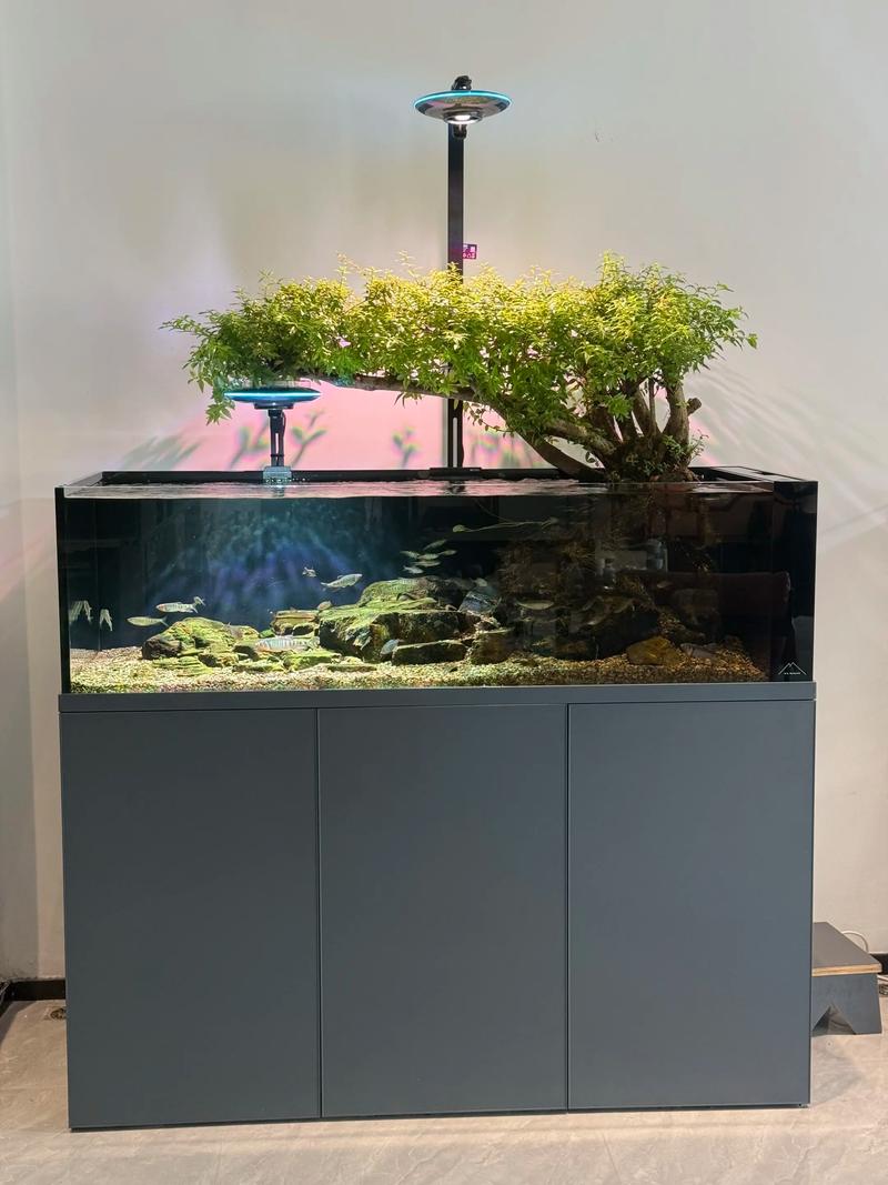 2026廊坊水族造景服务商前五名盘点:口碑、价格与避坑指南
