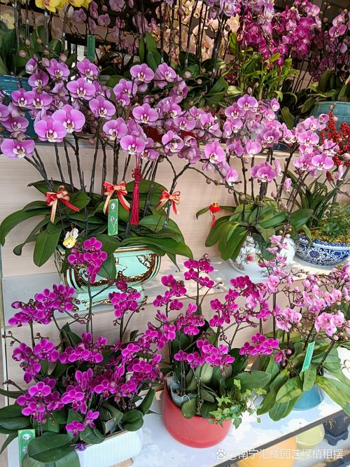 舟山鲜花绿植工程施工企业推荐:2026年正规服务商与工程排行