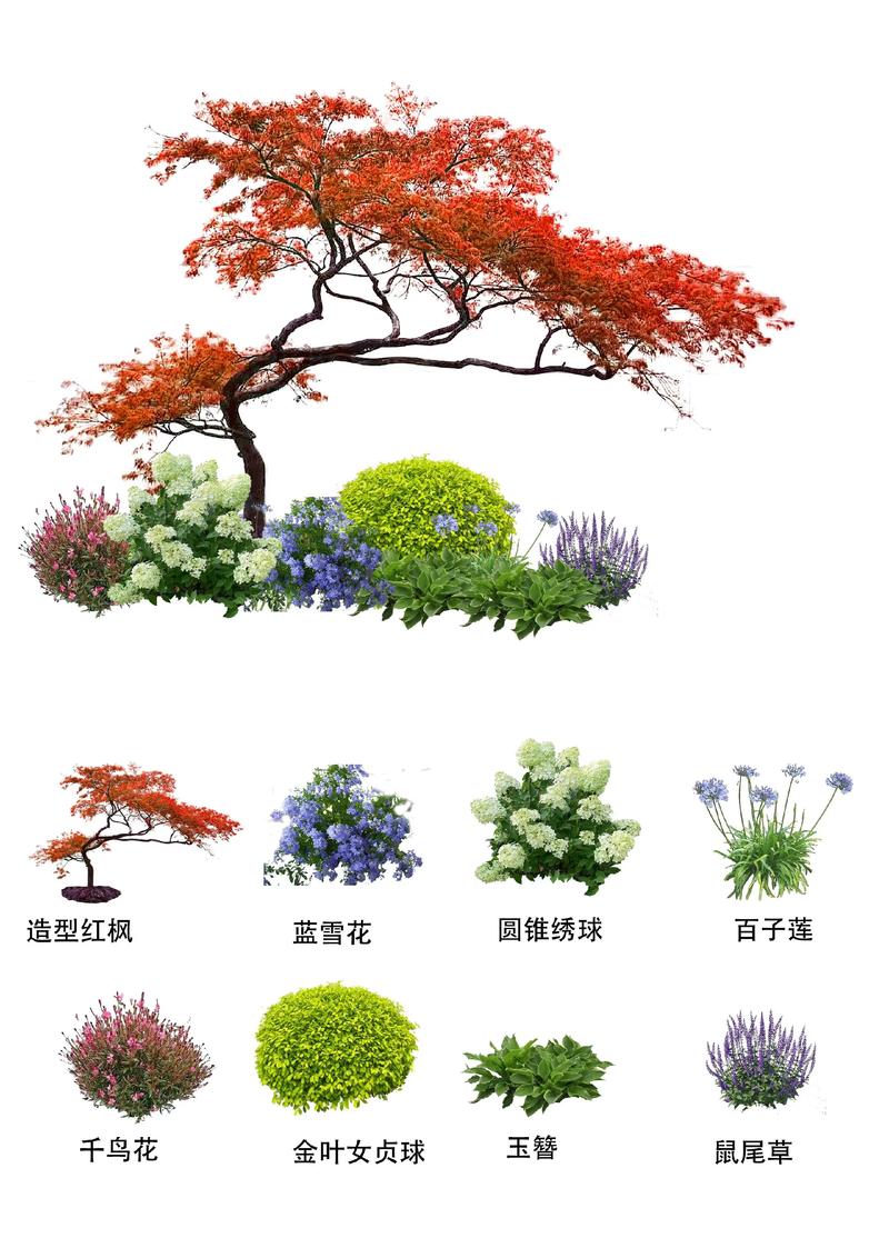 2026汕头园区绿植景观设计策划公司TOP5强名单：专业工程