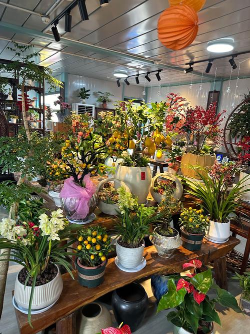 2026黄冈观赏花卉门店推荐:精选花色花期正盛品种与专业养护