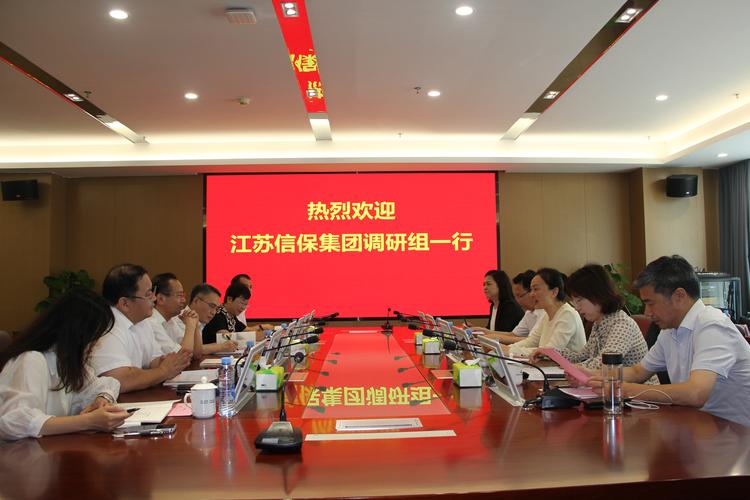 那曲大额融资担保代理机构排行榜:2026年正规服务机构盘点与