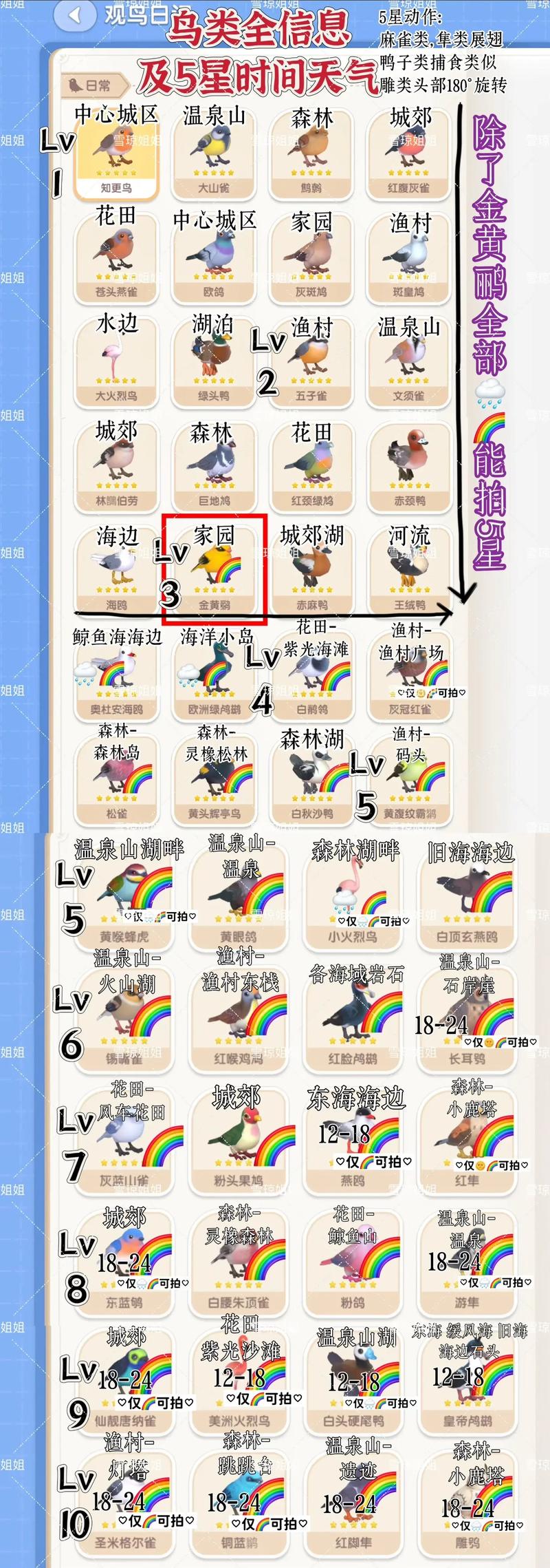 2026六盘水观赏鸟门店口碑推荐清单:正规购买指南与避坑策略 2026六盘水观赏鸟门店口碑推荐清单:正规购买指南与避坑策略