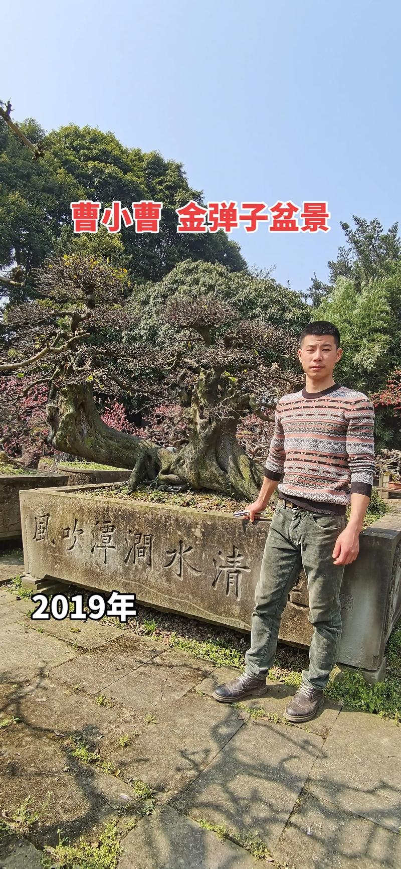 成都盆景景观施工团队榜单2026盘点:工程绿化专业施工与避坑