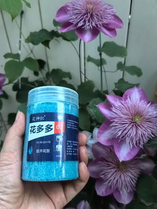 长沙本地花肥花药正规选购指南:2026年花友避坑与专业推荐清