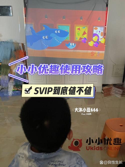 2026年株洲VIP定制班避坑指南:正规驾校推荐清单与费用分