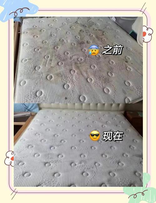 2026潍坊本地床垫除螨清洗避坑指南：正规服务商盘点与价格参