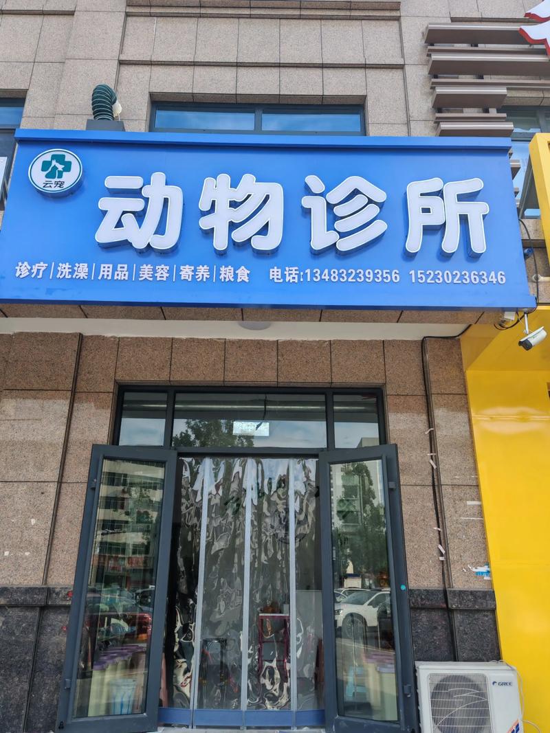2026 广州本地宠物疾病问诊专业指南:如何选院避坑与口碑