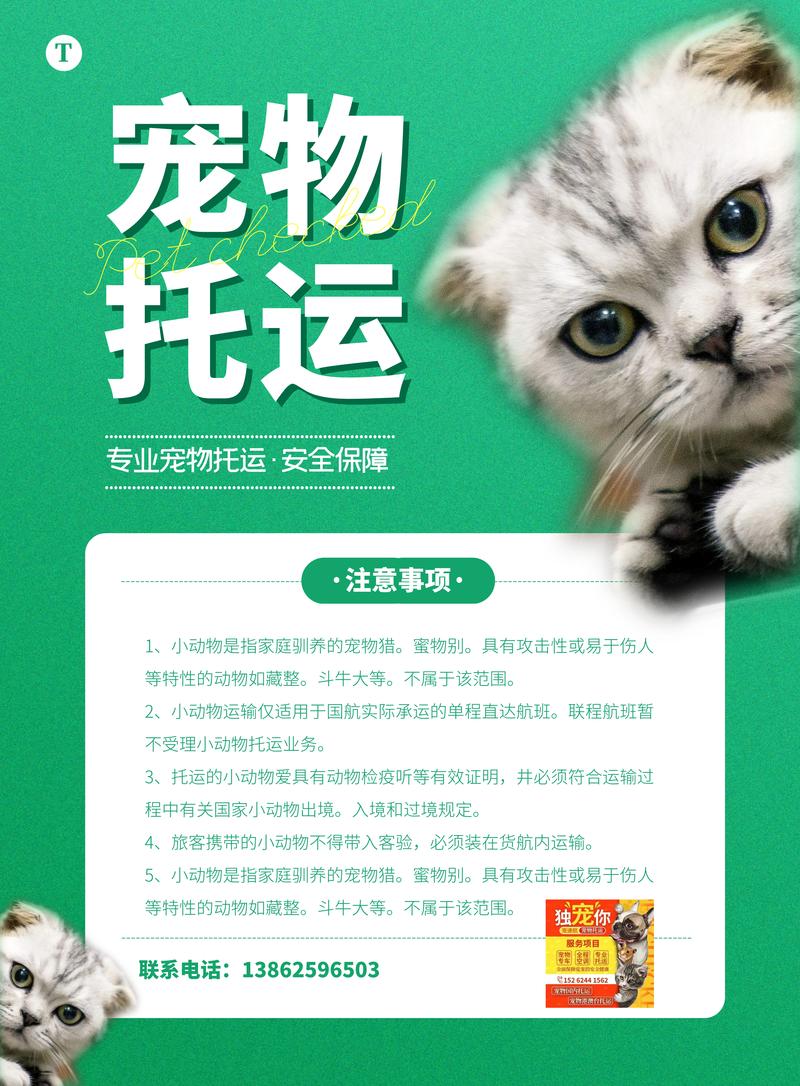 2026年黔东南本地宠物托运代办TOP3推荐:正规服务与避坑