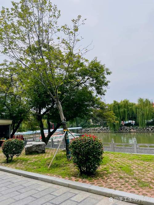许昌同城休闲娱乐避坑指南:2026年正规服务机构盘点与高口碑