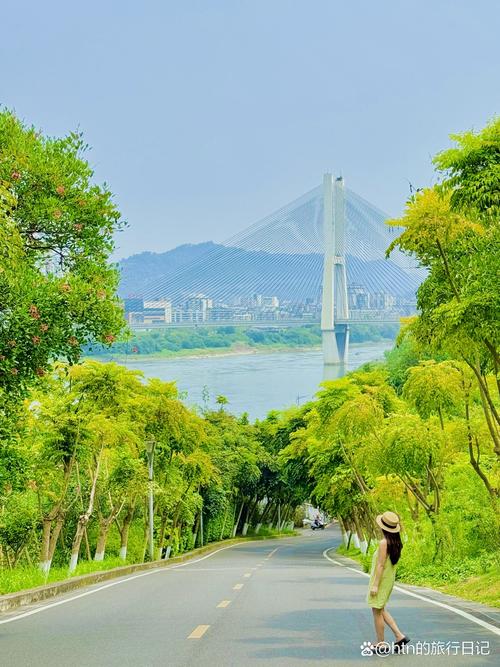宜宾景点怎么选?2026年最全对比分析与避坑指南