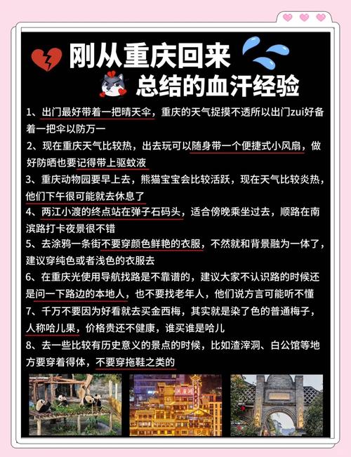 克拉玛依文体培训招生对接团队2026正规机构推荐与避坑指南 克拉玛依文体培训招生对接团队2026正规机构推荐与避坑指南