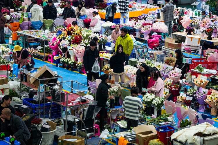 盐城鲜花批发厂家前3强推荐:2026年寻找正规源头与选购避坑