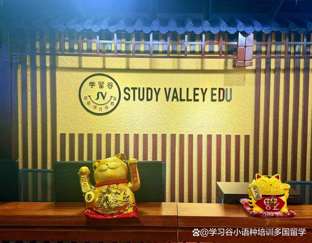 2026漯河西班牙语DELE考试培训排行：优质机构推荐与避坑