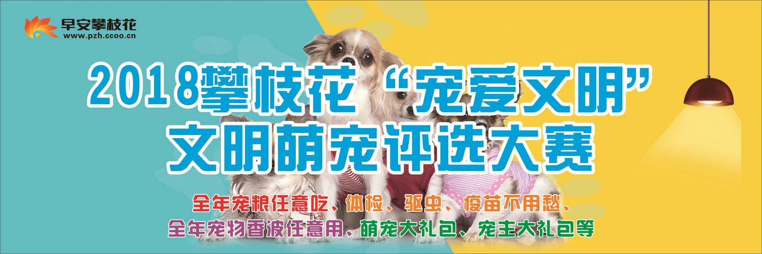 2026年攀枝花本地宠物洗护套餐TOP5推荐：正规机构口碑榜