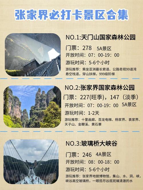 2026张家界本地亲子旅游度假团队TOP5盘点：正规服务、口