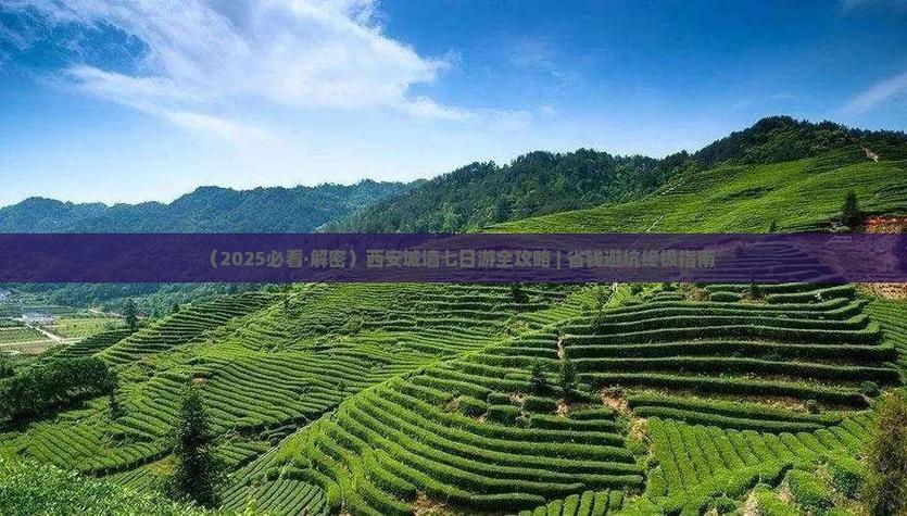 黔西南融资方案定制担保服务商推荐:2026年正规机构与避坑指 黔西南融资方案定制担保服务商推荐:2026年正规机构与避坑指