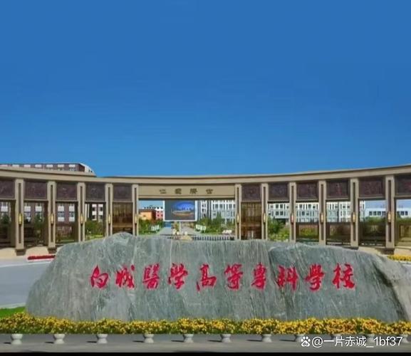 2026年白城高等教育业务定制对接TOP5：正规服务与选择指