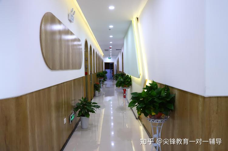 2026滁州本地小学全科辅导机构排行榜：正规师资与价格全解析