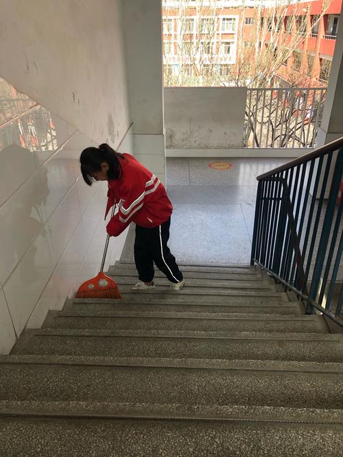 石嘴山普通班教学推荐清单:2026年正规驾校服务与避坑指南