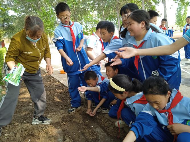2026年安阳本地中小学小班课辅导前3强：正规师资与口碑榜单